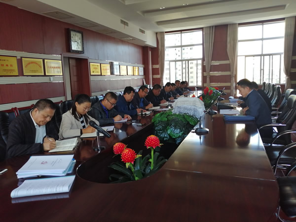 市委第一督查組督查隴運(yùn)集團(tuán)公司巡察整改工作落實情況