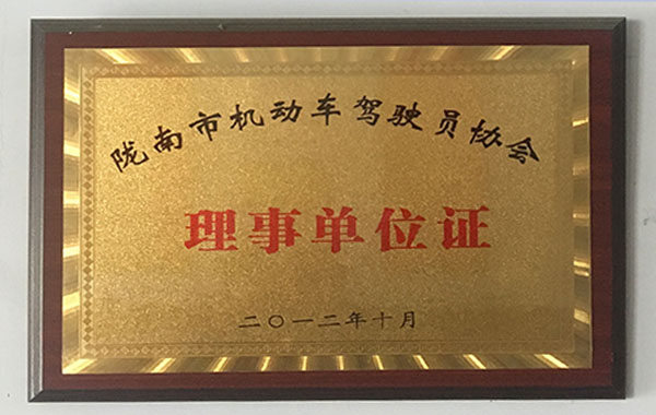 隴南市機(jī)動車駕駛員協(xié)會理事單